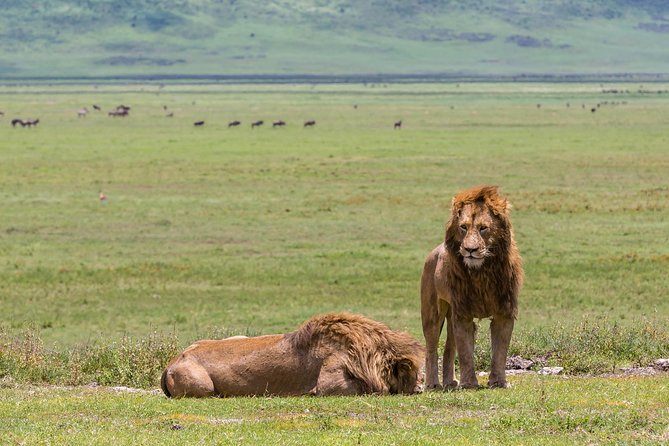 4-day Tanzania Safari - Why Moshi works so well for Northern Tanzania