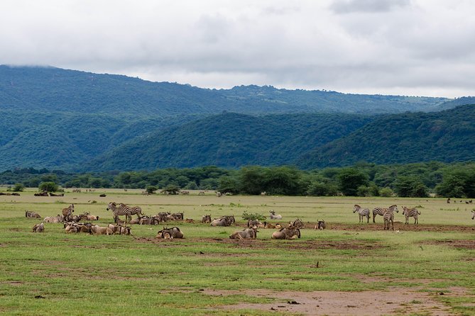 4-day Tanzania Safari - Tarangire National Park: elephants at the Tarangire River