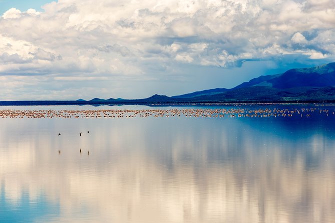 4-day Tanzania Safari - Serengeti at Seronera: two days to find your favorites