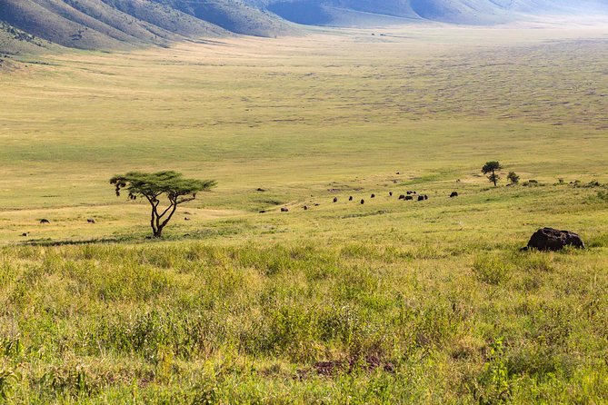 4-day Tanzania Safari - The vehicle and day-to-day comfort that make safari easier