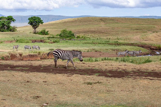 4-day Tanzania Safari - Price and value: what $3,296.40 buys you in real terms