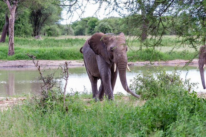 4-day Tanzania Safari - Day 1 in Arusha: an easy landing at Mount Meru Hotel