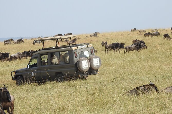 4-Day Tarangire, Serengeti, Ngorongoro Crater - Day 1 in Tarangire National Park: baobabs, the river, and elephant herds
