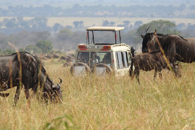 4-Day Tarangire, Serengeti, Ngorongoro Crater - Day 2 Serengeti National Park: the wide plains feeling that makes people fall in love