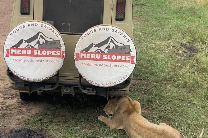 4-Day Tarangire Serengeti, Ngorongoro & Maasai Guided group tour - Day 4 crater descent at sunrise: 610 meters down and 25,000 animals in one bowl