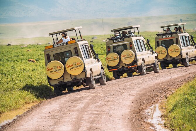 4-Day The Short of Tanzania Safari - Why This 4-Day Safari Route Works