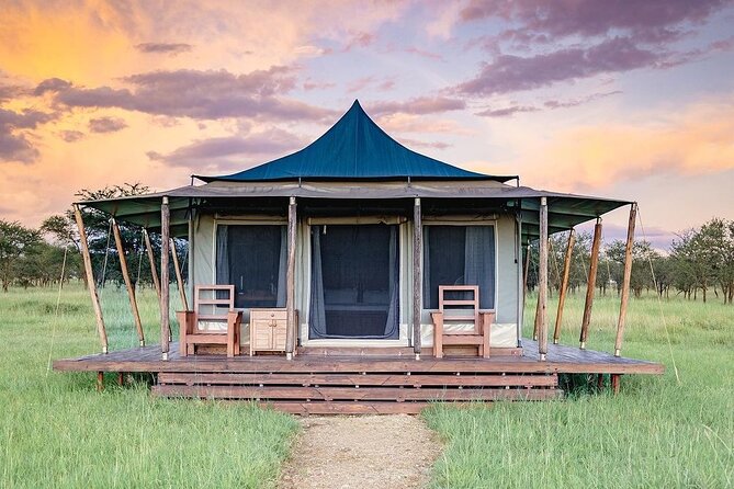 4-Day The Short of Tanzania Safari - Ngorongoro Crater Day 4: The Best Big Five Odds on a Tight Schedule