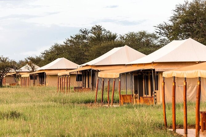 4-Day The Short of Tanzania Safari - Lodges and Meals: How the Included Food Changes the Safari