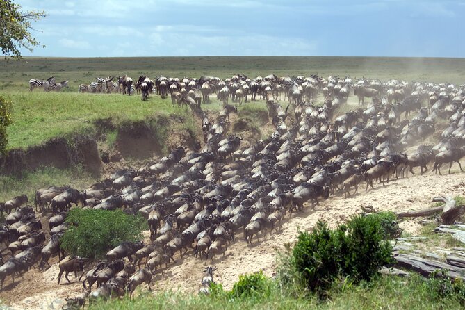 4-Day Tour to Tarangire, Serengeti and Ngorongoro - Quick hits before you go