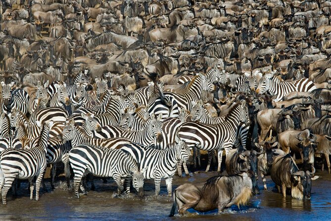 4-Day Tour to Tarangire, Serengeti and Ngorongoro - Your guide and the small-group edge (including Assad)