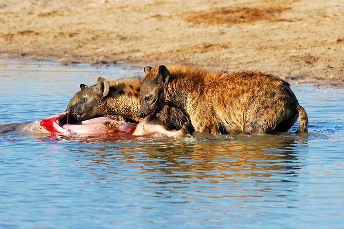 4-Day Tour to Tarangire, Serengeti and Ngorongoro - Who this safari suits best