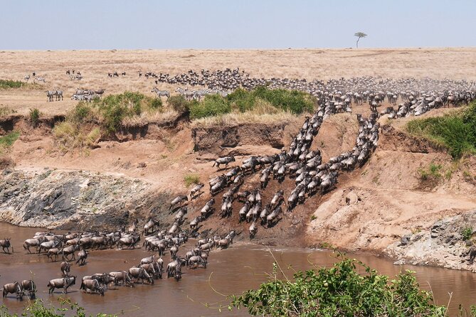 4-Day Tour to Tarangire, Serengeti and Ngorongoro - Price and value: what you get for $900