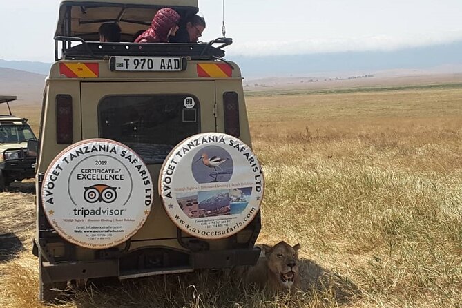 4 Days, 3 Nights Group budget Safari, Lake Manyara, Serengeti, Ngorongoro - Day 2 in Serengeti: Full-Day Wildlife Chasing Without a Break