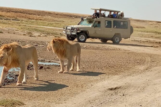 4 Days, 3 Nights Group budget Safari, Lake Manyara, Serengeti, Ngorongoro - Day 3 Serengeti to Ngorongoro Crater Rim: Big Views, Tighter Timing