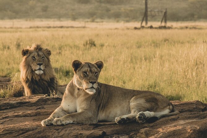 4 Days, 3 Nights Group budget Safari, Lake Manyara, Serengeti, Ngorongoro - Guide, Vehicle, and the Small-Team Advantage