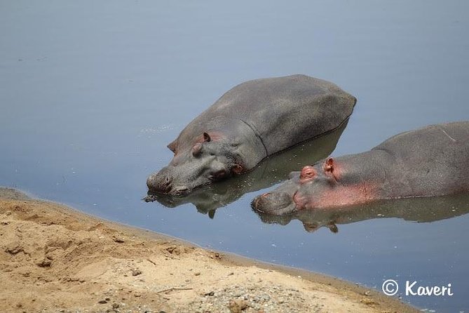 4 Days / 3 Nights Lake Manyara, Ngorongoro and Serengeti - Price and logistics: is $1,700 per person good value?