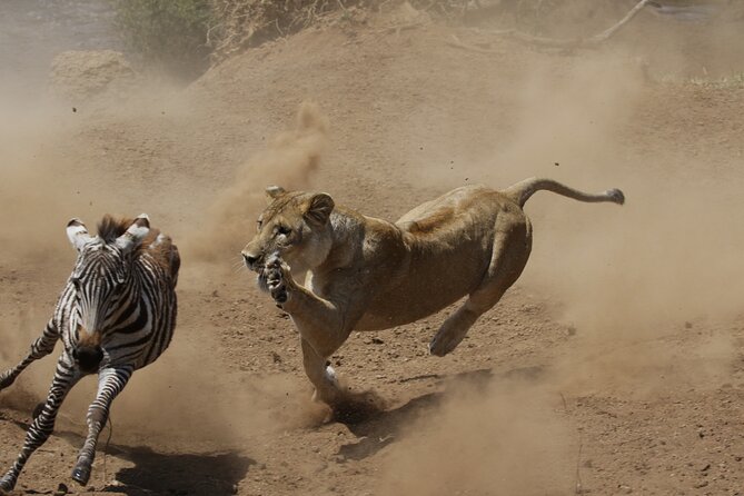 4 days 3 nights Safari- Tarangire, Serengeti and Ngorongoro Crater - Day 4 in Ngorongoro: A 6:15am Descent and the Black Rhino Challenge