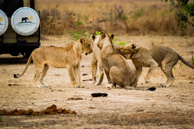 4 Days 3 Nights Safari to Mikumi National Park - Day 4: one last chance at Mikumi before heading back