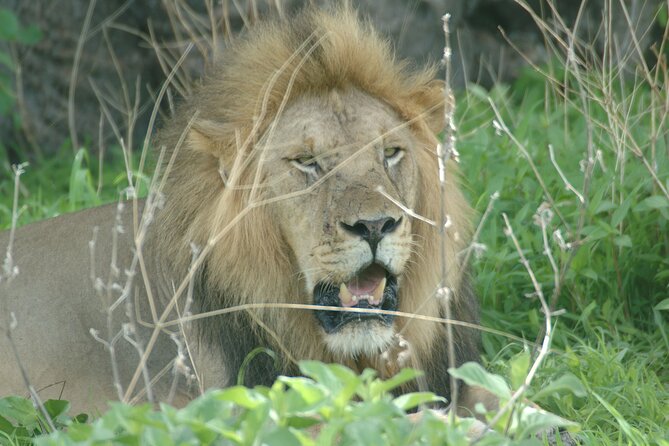 4 days / 3 Nights safari to Ruaha National park - Why Ruaha National Park works so well in 3 nights