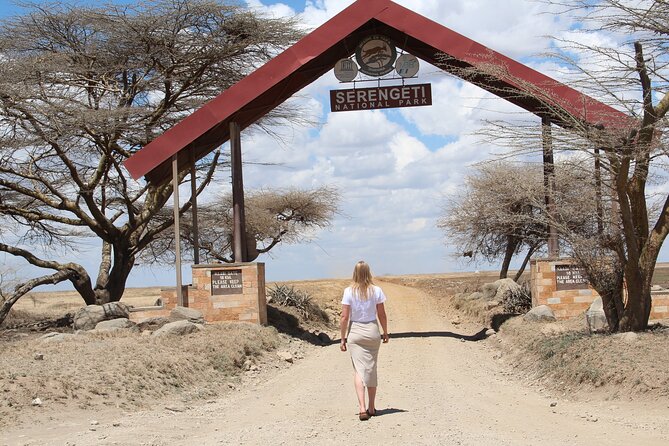4 Days 3 Nights Tanzanian Budget Safari Tour - Moshi to Tarangire: a full-day game drive focused on elephants