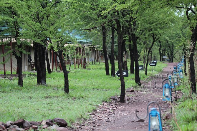 4 Days 3 Nights Tanzanian Budget Safari Tour - Price and logistics: where the value really sits at $2,300