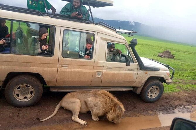 4 Days /3 nights Tarangire, Serengeti and Ngorongoro crater - Serengeti National Park: Seronera’s river pull and classic big-plains viewing