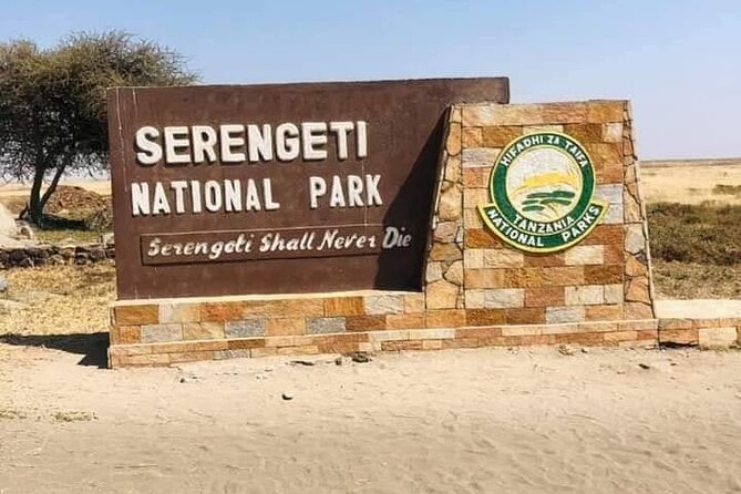 4 Days /3 nights Tarangire, Serengeti and Ngorongoro crater - Tarangire National Park: elephants, baobabs, and a full day in the thick of it