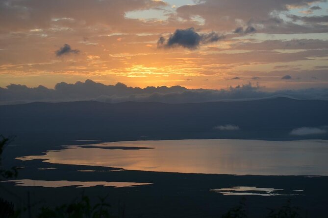 4 days adventure camping safari - Ngorongoro Day 4: Black Rhinos on the Crater Floor and the Long Return
