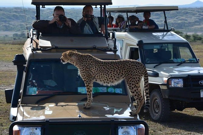 4-Days Adventure Camping Safari to Tarangire, Serengeti & Ngorongoro - From Arusha to Tarangire: elephants, zebras, and baobabs first