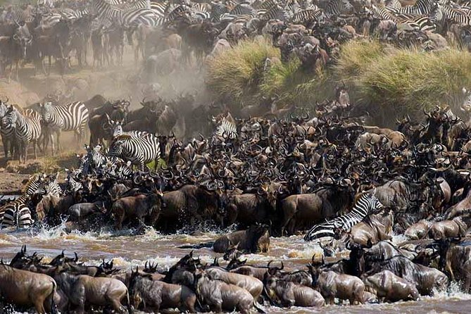 4-Days Adventure Camping Safari to Tarangire, Serengeti & Ngorongoro - Ngorongoro crater game drive and the Big Five chase