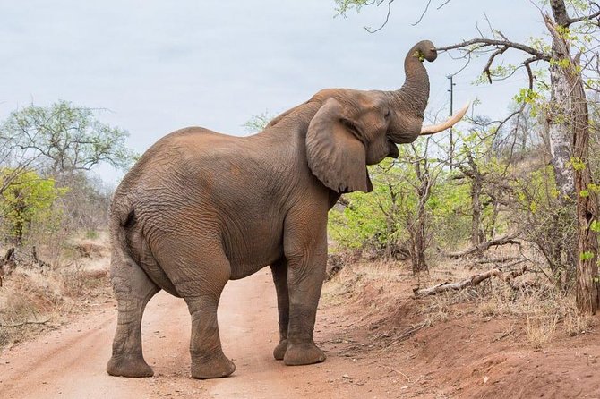 4-Days Adventure Camping Safari to Tarangire, Serengeti & Ngorongoro - Guides, safety, and why your driver really changes everything