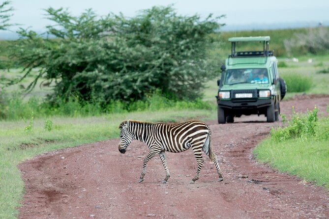 4 days adventure camping safari - Ngorongoro Day 2: Viewpoint Awe, Optional Maasai Village, Then Serengeti at Sunset