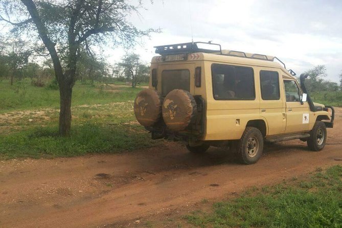 4 Days Affordable Tanzania Budget Safari - What you get for $1,500, plus booking and practical tips that matter