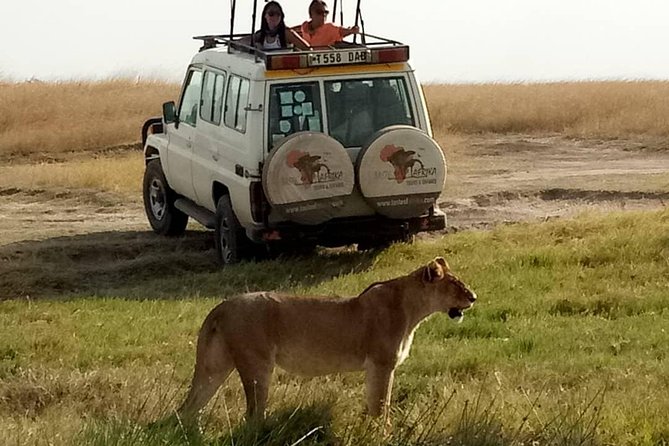 4 Days Affordable Tanzania Budget Safari - Day 2 Lake Manyara and Serengeti, from highlands to big herds