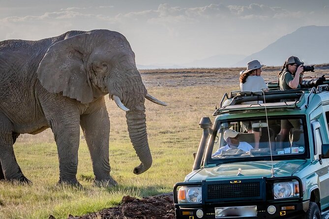 4 days Awesome Luxury safari Tarangire Serengeti & Ngorongoro - Day 1 in Tarangire: elephants, baobabs, and a picnic lunch in the park
