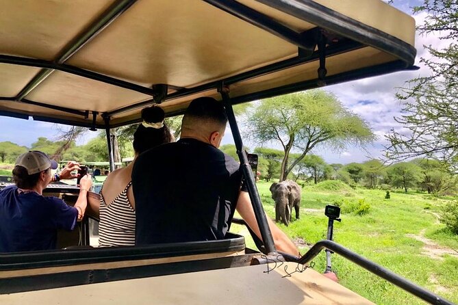 4 days Awesome Luxury safari Tarangire Serengeti & Ngorongoro - Day 3 early start in the Serengeti: sunrise viewing and predator hunting hours