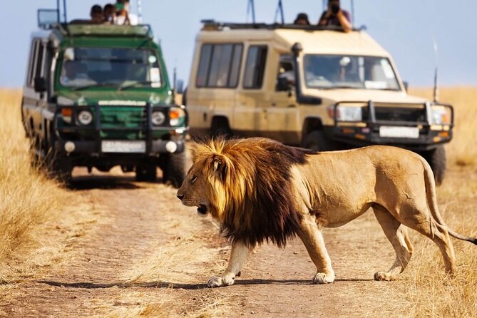 4 days Awesome Luxury safari Tarangire Serengeti & Ngorongoro - Day 2 Serengeti approach: Karatu roads, Ngorongoro gate views, then plains time