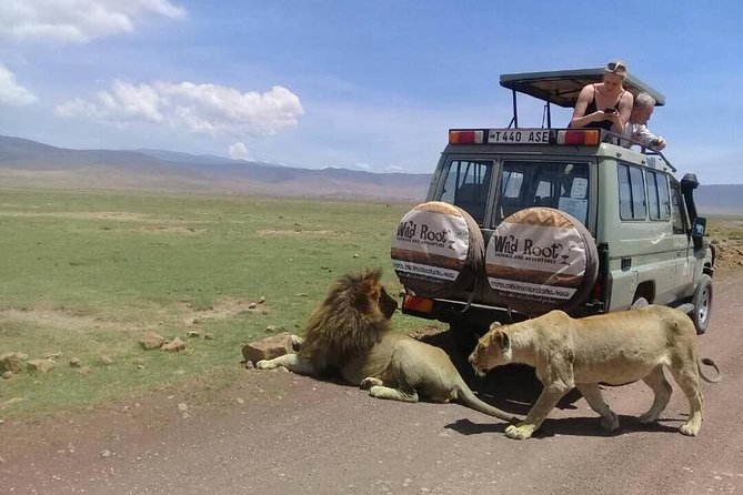 4: days Big five safari - Tarangire National Park: elephants, river life, and the armed-ranger walk