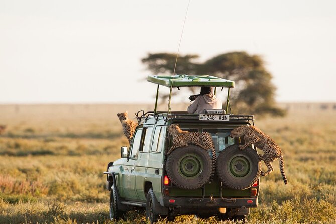 4 Days Experience big five in Tarangire, Serengeti & Ngorongoro Safari - Day 4 Ngorongoro Conservation Area: crater descent, hippo pool picnic, black rhinos