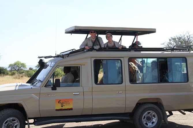 4 Days Game drives Safari Tarangire, Serengeti and Ngorongoro Crater - Moshi to Tarangire: 8:30 am starts and big-elephant energy