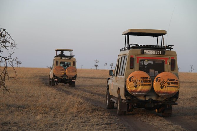 4 Days Game drives Safari Tarangire, Serengeti and Ngorongoro Crater - Serengeti Tortilis-style nights: early drives, endless plains, and predator math