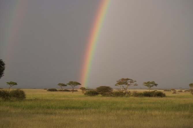 4 Days Group Camping Safari - Camping and Meals: Included Food, Basic Camps, and What to Bring for Comfort