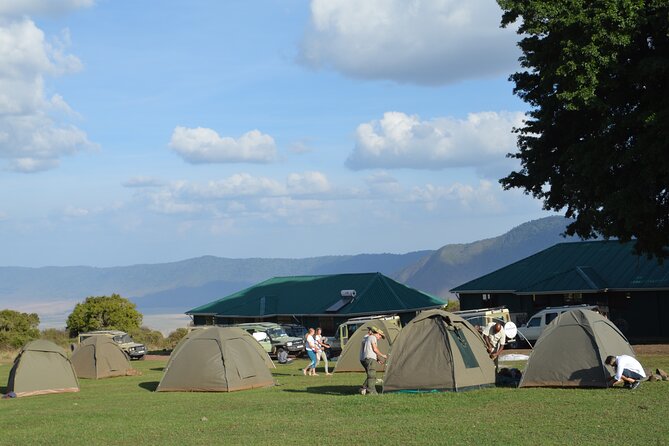 4 Days Group Camping Safari - Day 1 in Tarangire National Park: Elephants, Baobabs, and a Solid First Drive