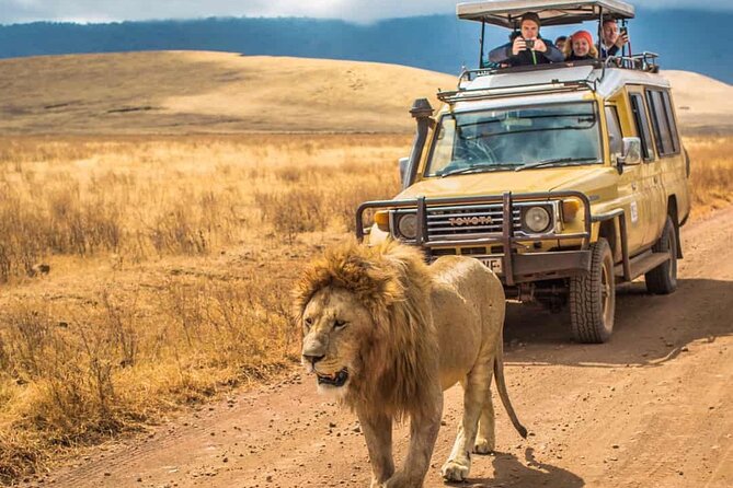 4 Days Group Joining Camping Tanzania safari - Serengeti Day 2: From Mto wa Mbu Roads to Predator Country