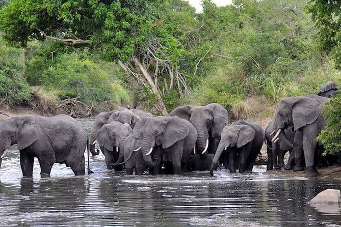 4 Days Joined Group Safari Serengeti,Ngorongoro and Tarangire National Parks - The Real Wildlife Targeting: Big Five Without the Guarantee Trap