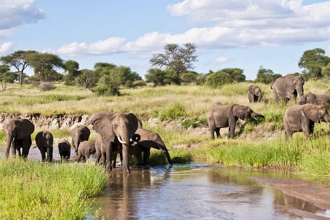 4 Days Lake Manyara National Park, Ngorongoro Crater , Serengeti National Park. - Serengeti Morning, Crater Rim Dinner: How Timing Works