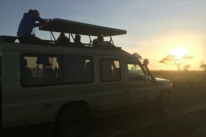 4 Days lodge &camping Tarangire,Serengeti, Ngorongoro Safari Tour - Camping Comfort, Food, and Who Does the Work