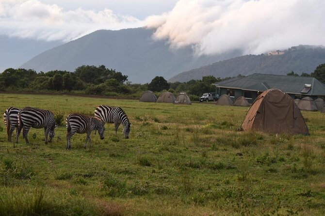 4 Days lodge &camping Tarangire,Serengeti, Ngorongoro Safari Tour - Wildlife Expectations: How to Think About Big Cats, Big Herds, and Birds