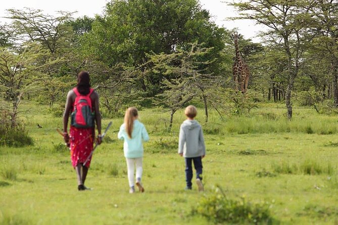 4 Days lodge safari Tarangire , Ngorongoro crater & Walking - Day 1 Materuni Waterfalls, Coffee Tour, and Chemka Hot Springs Swim