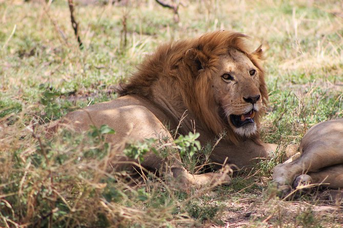 4 Days lodge safari Tarangire , Ngorongoro crater & Walking - Lodges, Meals, and What the Included Comfort Means